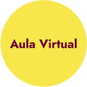 Aula Virtual
